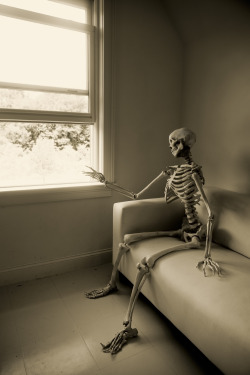 commandertommo:  Waiting for GTA Online to