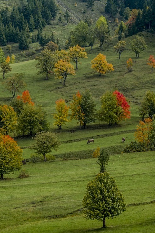 ponderation:  yağlı boya by SELÇUK ZENGİN  