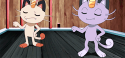 cardozzza: girldemon:  dykealectics:  straight and gay siblings hanging out  Are you kidding me, regular meowth is gay too   Grumpy gay &amp; glamor gay  
