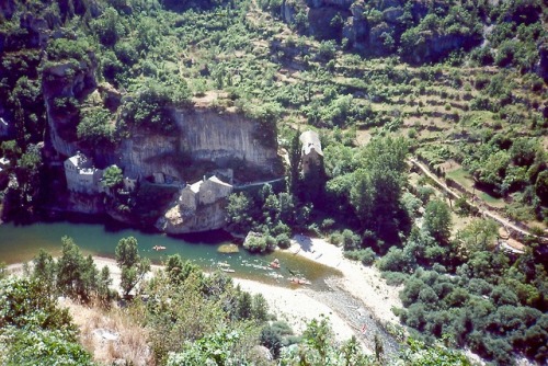 Gorges du Tarn, pres de Compeyre, Aveyron, 1984.