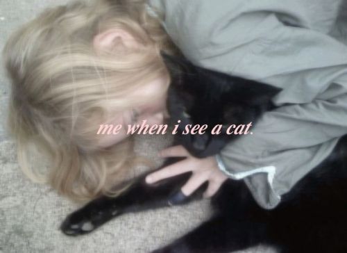 evanpetersgfhihi - elodie ♡