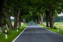 jalouise:  Empty road;)