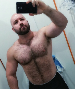 MuscleBear