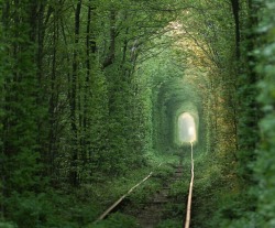 orphanchicken:  tunnel of love, Ukraine