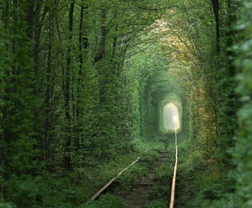 Sex orphanchicken:  tunnel of love, Ukraine pictures