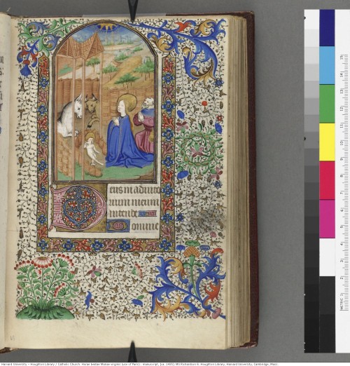 Catholic Church. Horae beatae Mariae virginis (use of Paris) : manuscript, [ca. 1435]MS Richardson 6