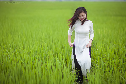  Vietnamese long dress (Ao dai) bởi Beauty Collection Qua Flickr: Photo backup https://flic.kr/s/aHs