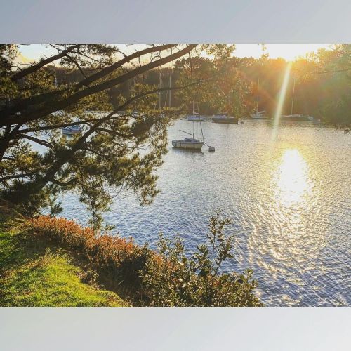 Vent d’ouest #1 #morbihan (à Bono, Bretagne, France) https://www.instagram.com/p/CJyUnxlrdbB/?igshid