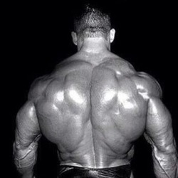 bikert:  best back =) Dorian Yates