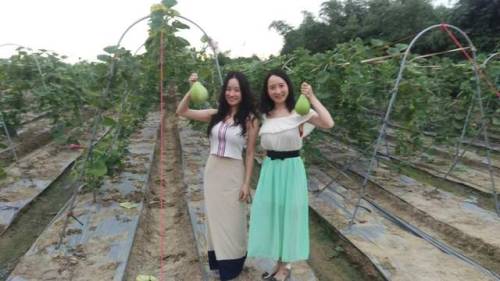 maturechinesewomen: 双胞胎轻熟女，脸蛋长得甜美，身材好，胸又大，是一对极品