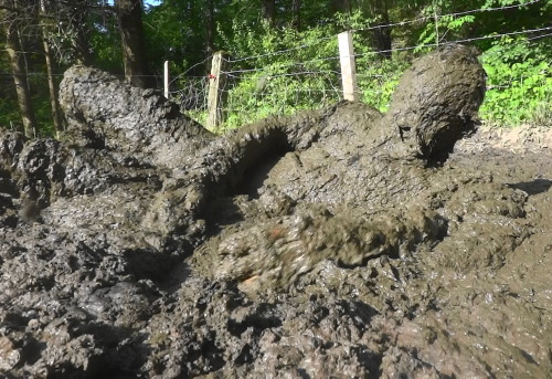 mudpunker:Cowshit bath