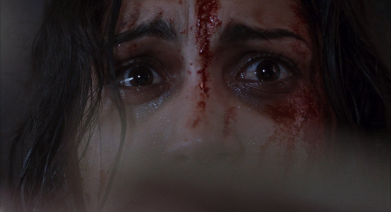 cleofisrandolph:Martyrs (2008) dir. Pascal Laugier, cinematography by Stéphane