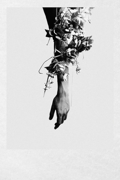 170318collective:  image used as reference for project 