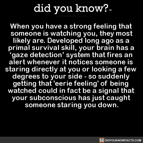 did-you-know:  When you have a strong feeling that someone is watching you, they most likely are. Developed long ago as a primal survival skill, your brain has a ‘gaze detection’ system that fires an alert whenever it notices someone is staring directly