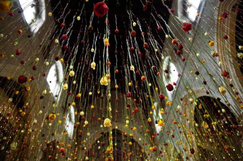 itscolossal:  Suspended Floral Installations adult photos