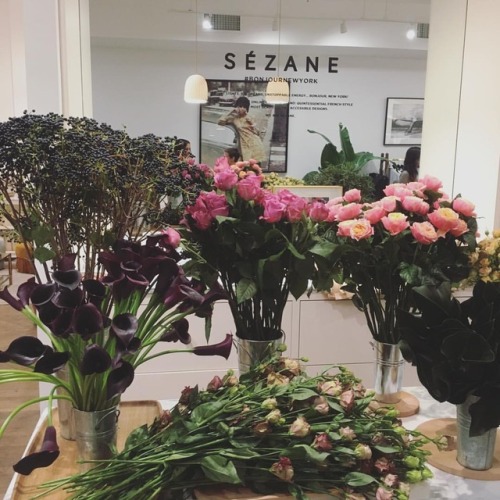 from our “fall floral arrangements” class last night at @sezane’s nolita boutique 