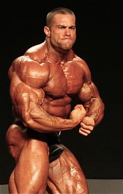 wrestlehead:  Evan Centopani  Mounds of muscles