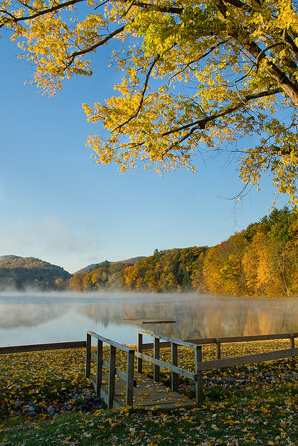 valscrapbook:  Misty Morning by janet little on Flickr. 