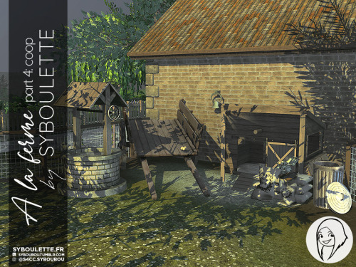 A La Ferme Part 4: The Coop