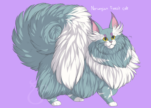 nationalpokedex:cheeziesart:since everyone’s doing it, here’s some variations on Purugly. I’ve never loved this dumb cat more than I do now. Purugly needs all the love.please do not repost or redistribute on other websites.I love this new trend!!!