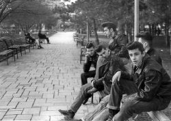 defeater:  objektid: American greasers hang out in the park. The greaser subculture began in the 1950s with the advent of rock and roll and era was comprised largely of rebellious, working-class youths obsessed with hot rods and music. The name greaser