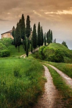 artncity:  Toscana City & Architecture