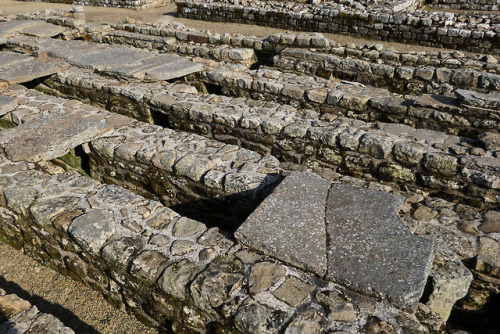 thesilicontribesman: Vindolanda Roman Fort, near Hadrian’s Wall, Northumbria, 24.2.18.Various 