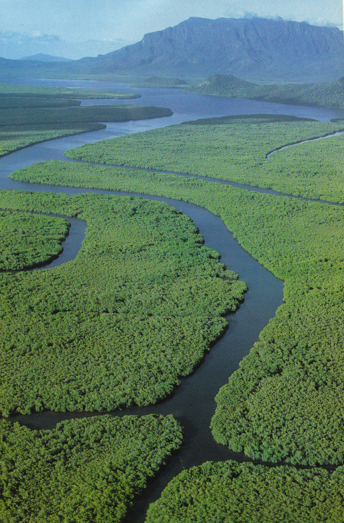 The coast from the air between Hinchinbrook Island National Park and the mainland, Discover Australi