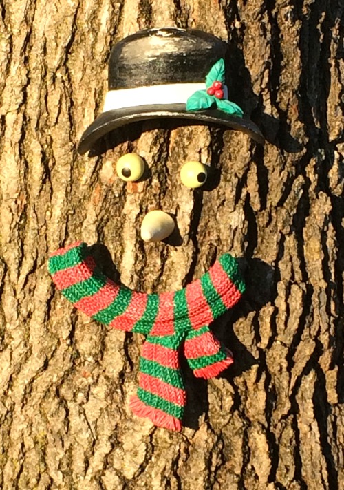 Treeman, Fairfax, ole virginny, December 2014.