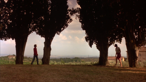 cineasc:Stealing Beauty (1996) Bernardo Bertolucci