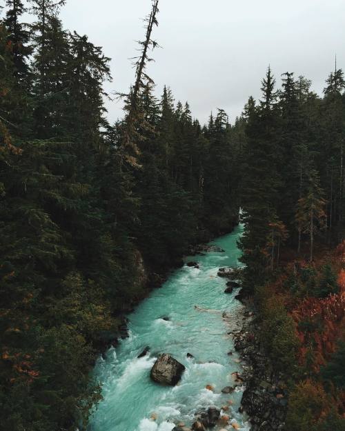 theencompassingworld:  grace–upon–grace:  Tory Savannah  The World Around Us