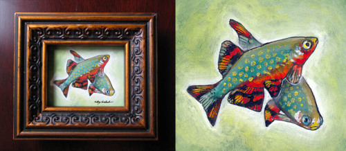 rah-bop:Three tiny paintings – a German blue ram, celestial pearl danios, and a crystal red shrimp. 