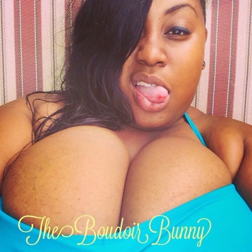 thebigtitsof:  The Big Tits Of Tumblr Vol 241 The Boudoir Bunny Im diggin her. Like