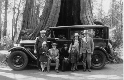 Hollow Tree, 1926This was submitted by Jim Barnett, a great nephew of John Christie, the guy on the 