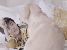 purpleuhan:  one day with a dreamer 