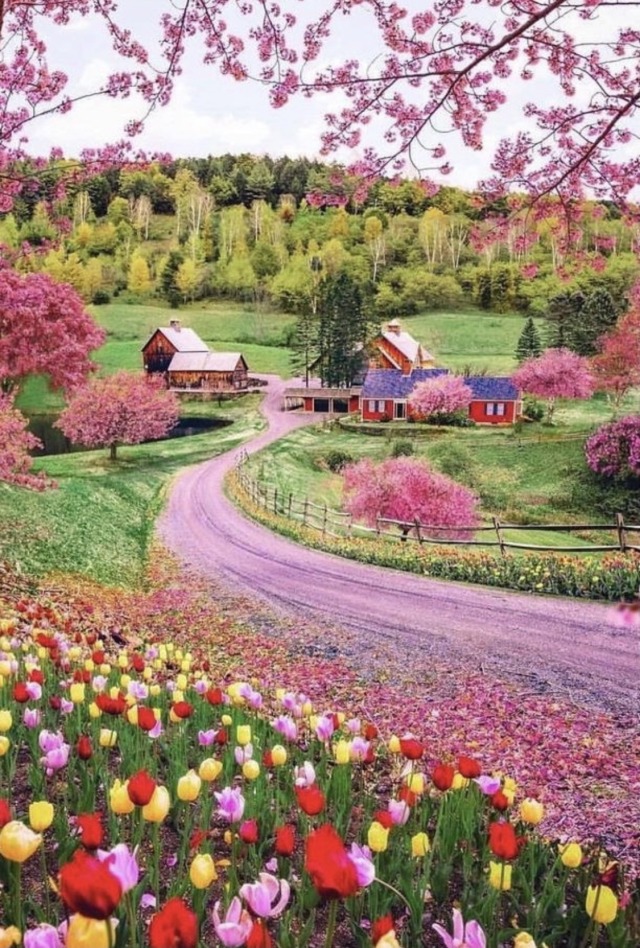 brownsugar-vision:Magick surrounds me 🌺✨