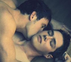 gay-romance:  snuggle bunnies