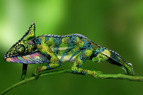 psychedelicpreacher:  Amazing chameleon body-art!