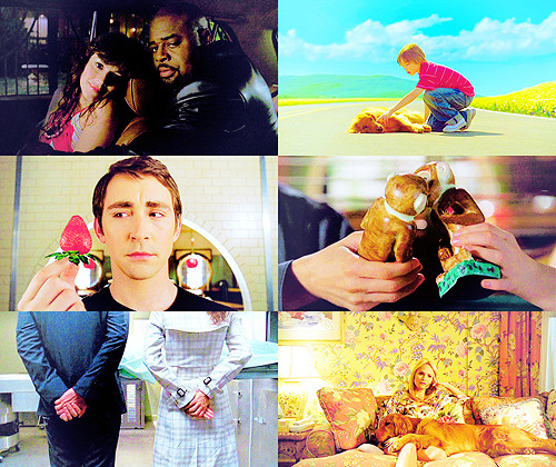 XXX theresstillheroesinthisworld:  Pushing Daisies photo