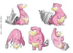 twarda:  The latest mega evolution leak got