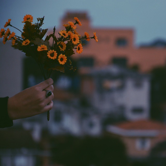 Feelings