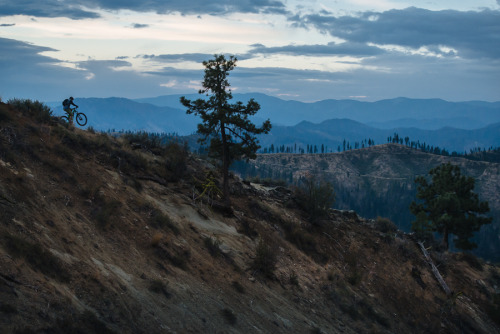 Early morning ridgeline rip.  Leavenworth, WA, September 2014.Portfolio | Instagram