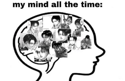 Literally 
