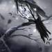 over60butnotdead-deactivated202: