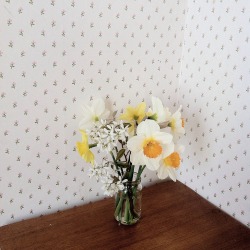 minutie:  i gathered some spring flowers to complement this fantastic wallpaper in my family’s holiday house