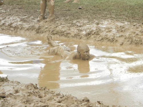 Floating in the mud. I would dive right in!