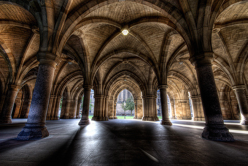 kadevohn:Amazing vaulted ceilings in cathedrals