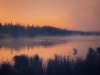 archae-heart-deactivated2021012:eerie morning glow over the misty lake 