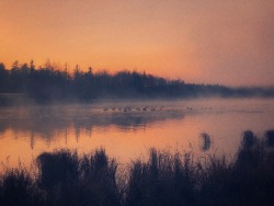 archae-heart-deactivated2021012:eerie morning glow over the misty lake 