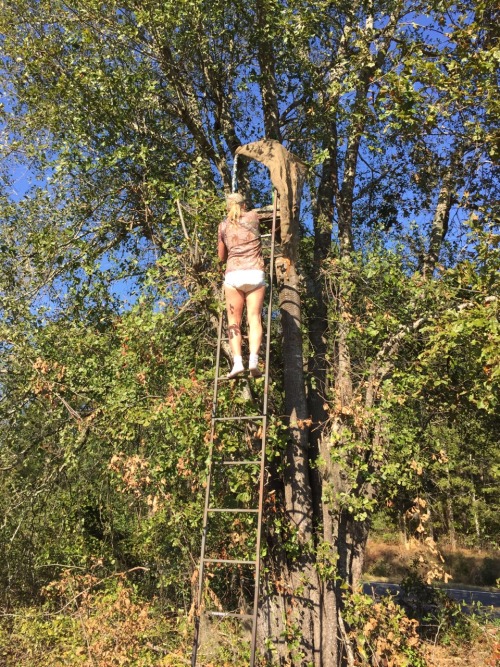 thebambinogirl:  I forgot my seat cushion in my stand this morning so after Daddy changed my diaper on the tailgate of the truck, he made me walk to my stand and climb up in it and get my seat cushion in just my shirt and diaper! No pants were allowed.